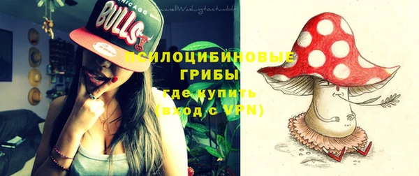 прущая мука Надым