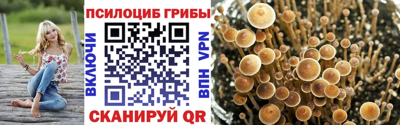 Псилоцибиновые грибы мухоморы  Благодарный 