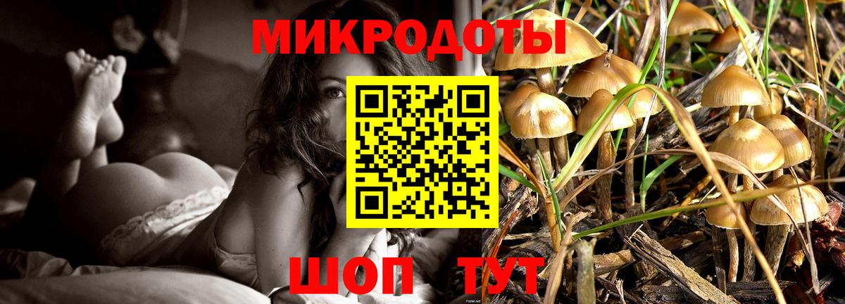 Галлюциногенные грибы Psilocybe Благодарный