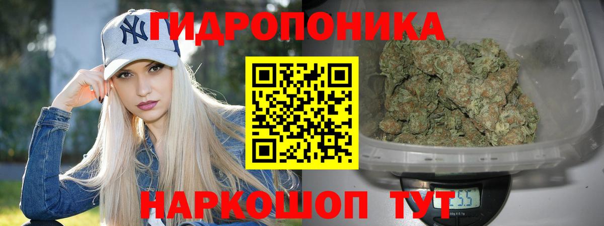 Каннабис MAZAR  Благодарный  МАРИХУАНА Ganja 